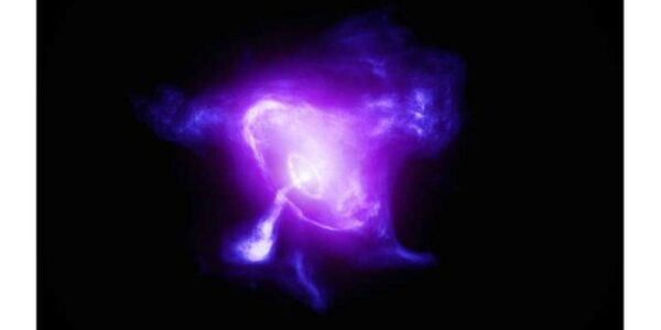 This image of the Crab Nebula combines data from NASA’s Imaging X-ray Polarimetry Explorer (IXPE) in magenta and NASA’s Chandra X-ray Observatory in dark purple.